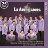 Íconos 25 Éxitos: La Arrolladora Banda el Limón de Rene Camacho