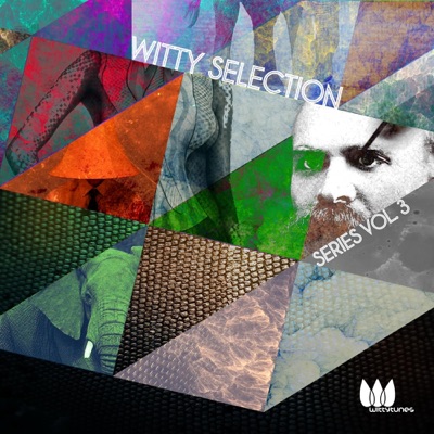 Witty Selection Series, Vol. 3