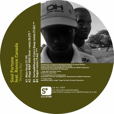 Missing You (feat. Ronnie Canada)