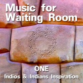 Music for Waiting Room, Vol. 1 (Indios and Indians Inspiration) artwork