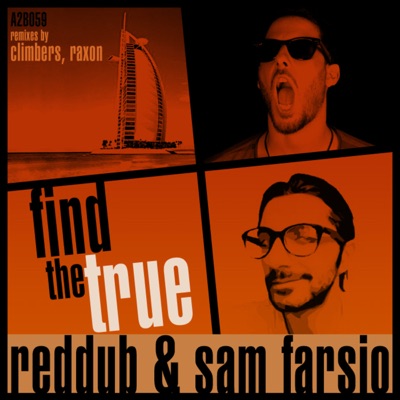 Find the True - Single