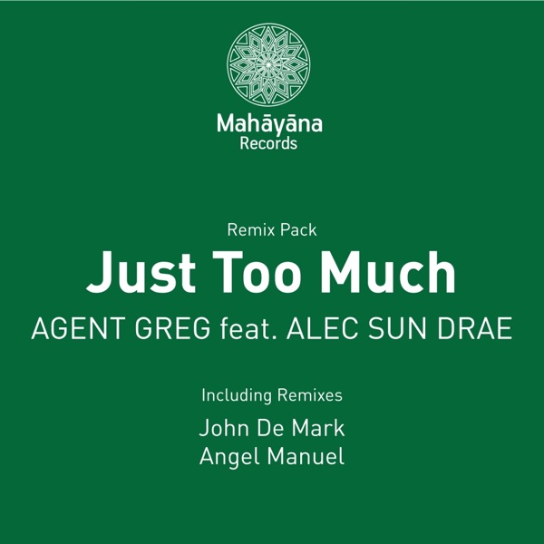 Just Too Much (feat. Alec Sun Drae) - Single