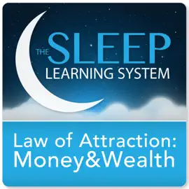 Law of Attraction Money and Wealth Guided Mediation: Sleep Learning System