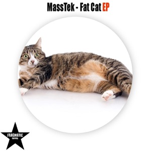 Fat Cat - Single