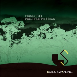 Re:Rebuild (BLACK SWAN CASE #12) BES from SWANKY SWIPE