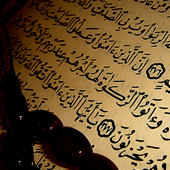 Cover art for Sourat At Takathur by Sheikh Abubakr Al Shatiri