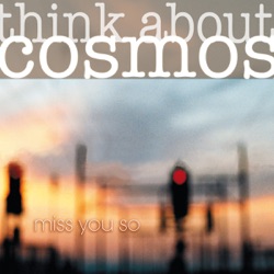 Think About Cosmos - Miss You So (Soulstream Mix)