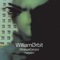 Ruby Heart (Transmogrified) - William Orbit lyrics