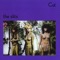 Adventures Close to Home - The Slits lyrics