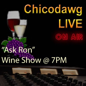 Chicodawg LIVE from Florida cover