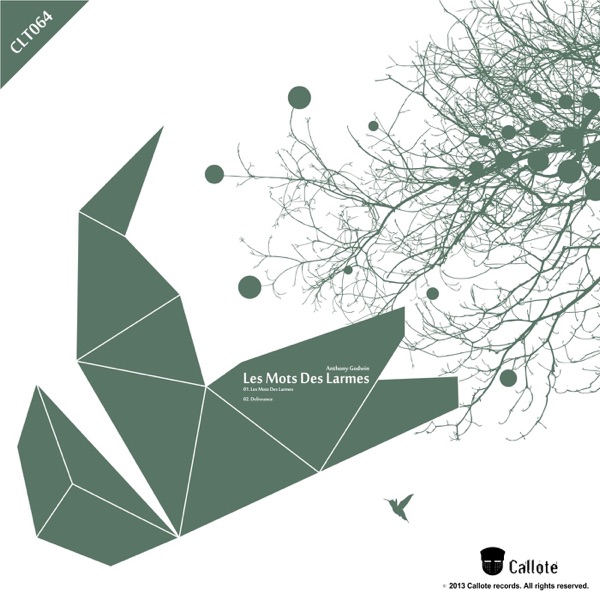 Les mots des larmes - Single