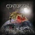 Contorsion