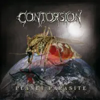 Gods of the Sun — Contorsion