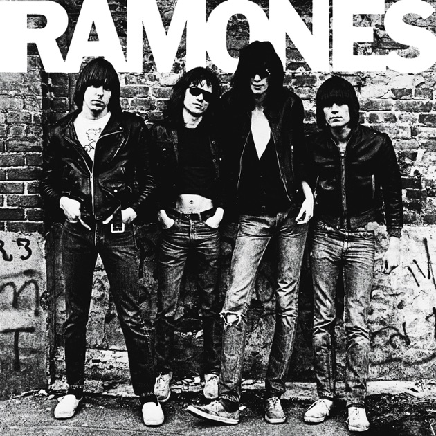 RAMONES 全アルバム＋ライブ盤セット ラモーンズ パンク