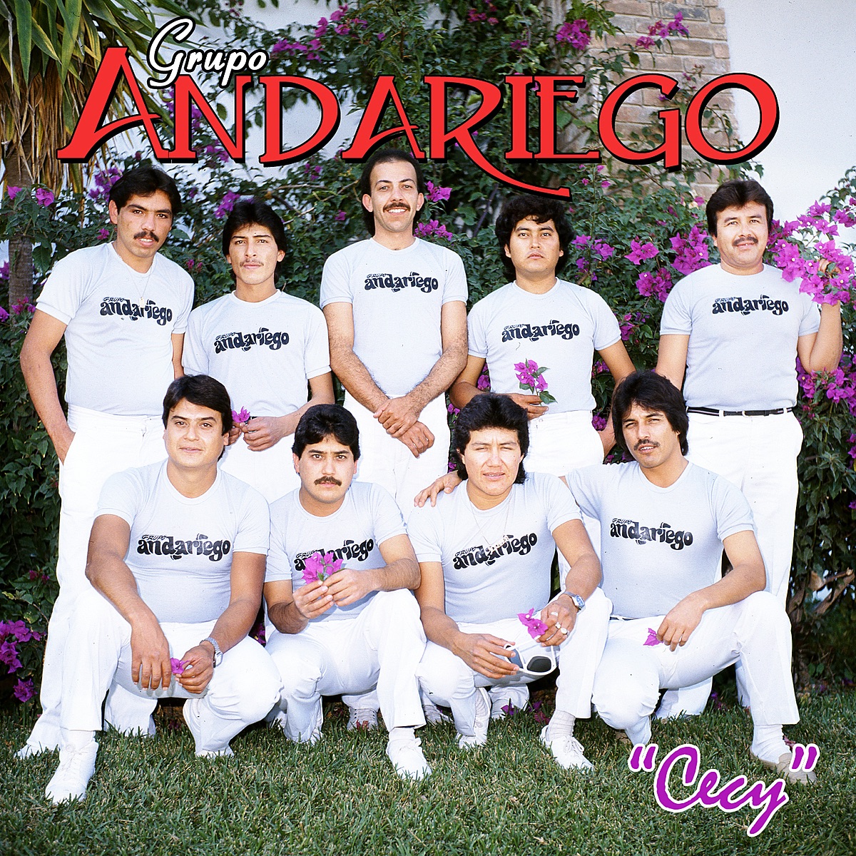 Andariego - Cecy - Cecy