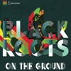 Black Roots - I Believe