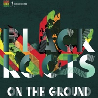 Black Roots - I Believe