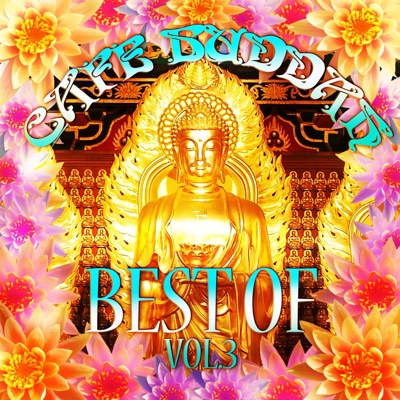 Café Buddah Best of, Vol. 3 (Beatism' Lounge & Chill Out Essentials)