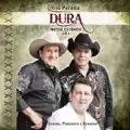Trio Parada Dura