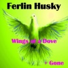 Wings of a Dove - Single