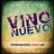 Vino Nuevo - Fernando Diaz Jr lyrics