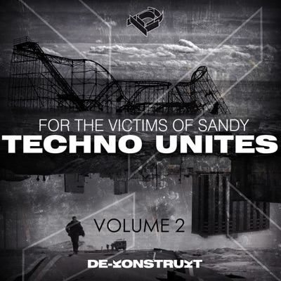 Techno Unites 'Victims of Sandy', Vol. II