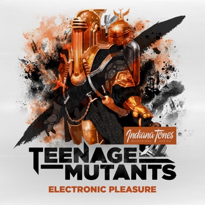 Electronic Pleasure - Single