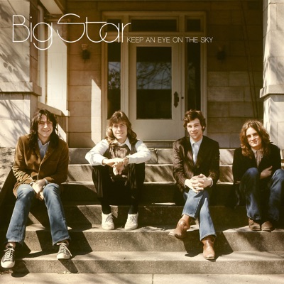 I'm In Love With a Girl - Big Star
