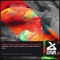 Soca - Andrea Loche & Corrado Zonnedda lyrics