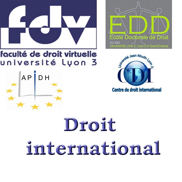 Droit international cover