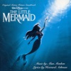 Under the Sea