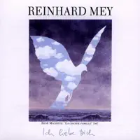 Herbstgewitter über Dächern — Reinhard Mey