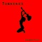 Thomas Dolby - Tomakazi lyrics