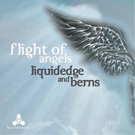 Flight of Angels Berns