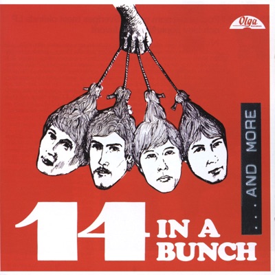 14 In a Bunch...And More