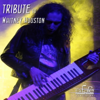 All At Once (Instrumental Keytar) - Mistheria & Francesco Digilio