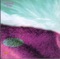 The Walking Nightmare:The Shopgirl:Croix Russe - Old Blind Dogs lyrics