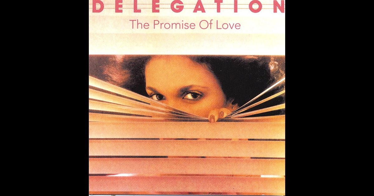DELEGATION / THE PROMISE OF LOVE (LP) - HIP TANK RECORDS