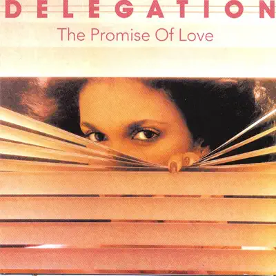 The Promise of Love - Delegation