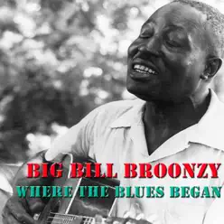 Where the Blues Began - Big Bill Broonzy