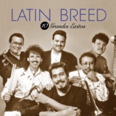 Latin Breed - Piedra Del Monte