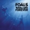 Spanish Sahara - Foals lyrics