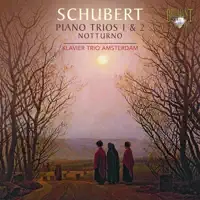 Piano Trio No. 2 in E-Flat Major, D. 929: II. Andante con moto — Klaviertrio Amsterdam