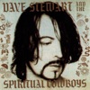 Dave Stewart & The Spiritual Cowboys