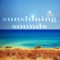 Sunshining Sounds (Nanuq Creative House Mixset) - Various Artists lyrics