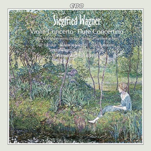 Wagner, S. : Violin Concerto - Konzertstuck - Das Marchen Von Dicken Fetten Pfannekuchen