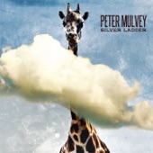 Peter Mulvey - Back in the Wind