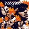 Everybody Loves the Sunshine - Incognito lyrics