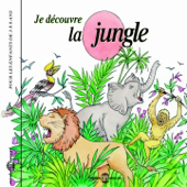 Rugissement du lion en Zambie