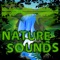 Sounds of Nature - Sounds of Nature lyrics